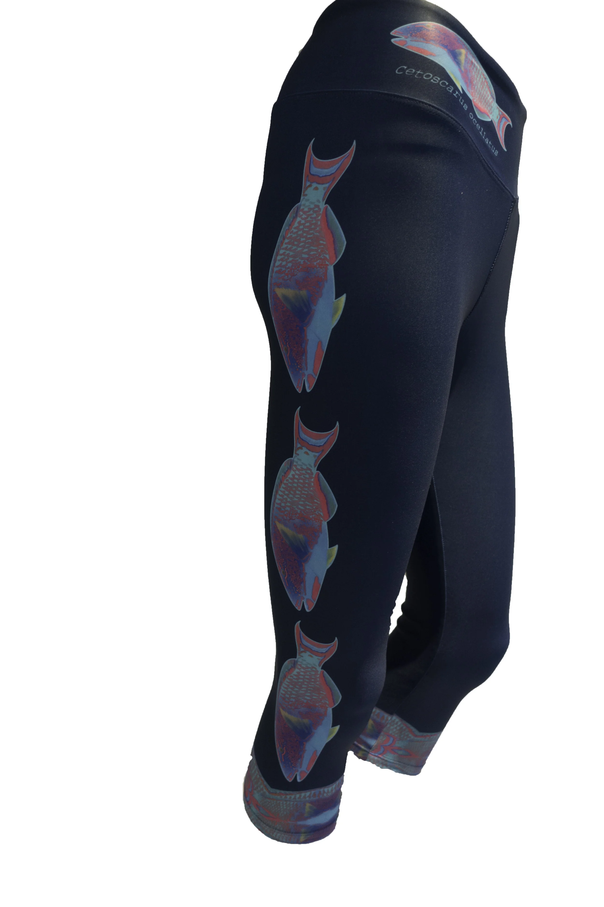 Reef SocietyBicolour Parrotfish160928Bicolour ParrotfishClothingBicolour Parrotfishuntitled shootBicolour Parrotfish2.jpg