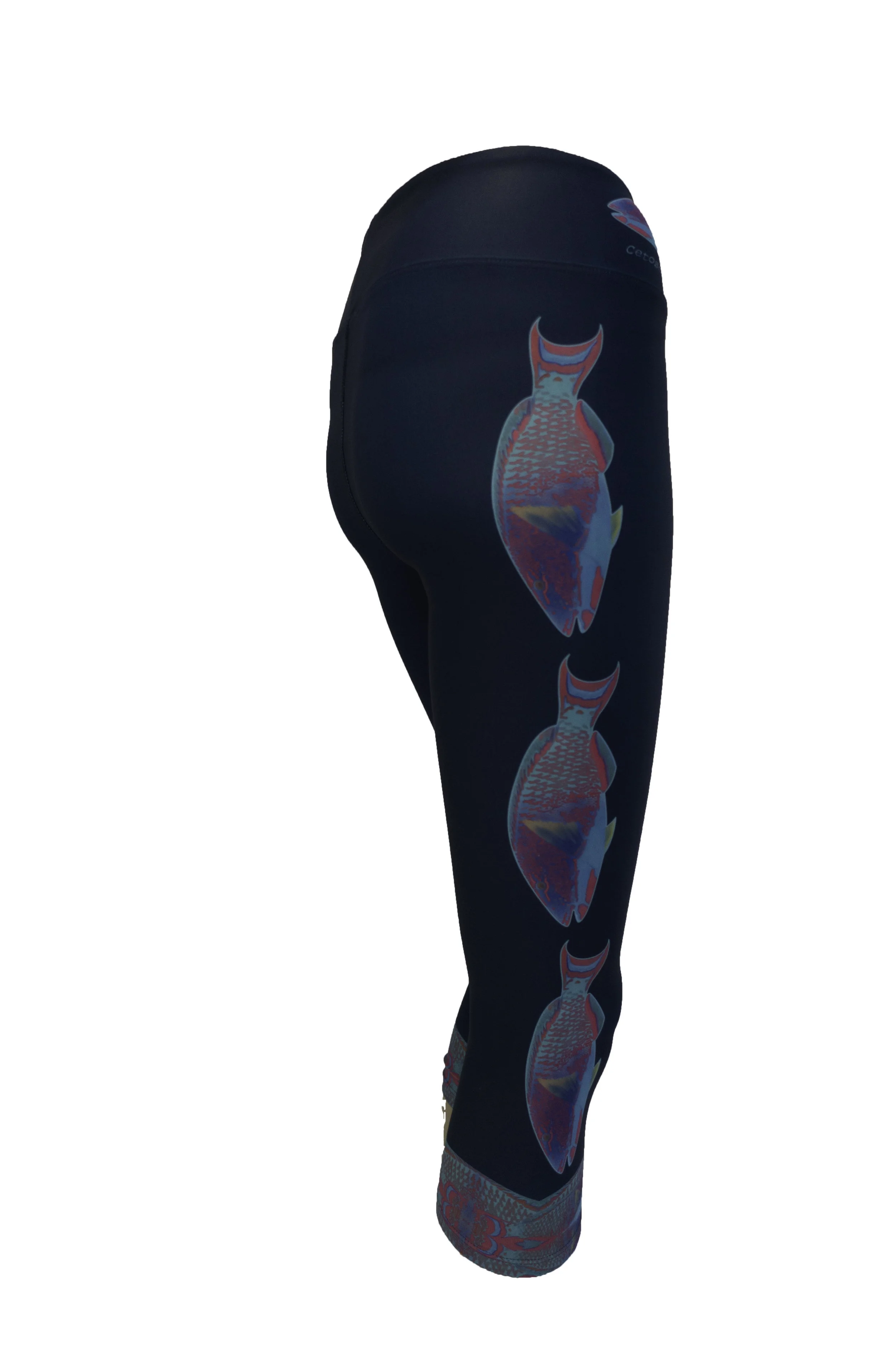 Reef SocietyBicolour Parrotfish160928Bicolour ParrotfishClothingBicolour Parrotfishuntitled shootBicolour Parrotfish6.jpg