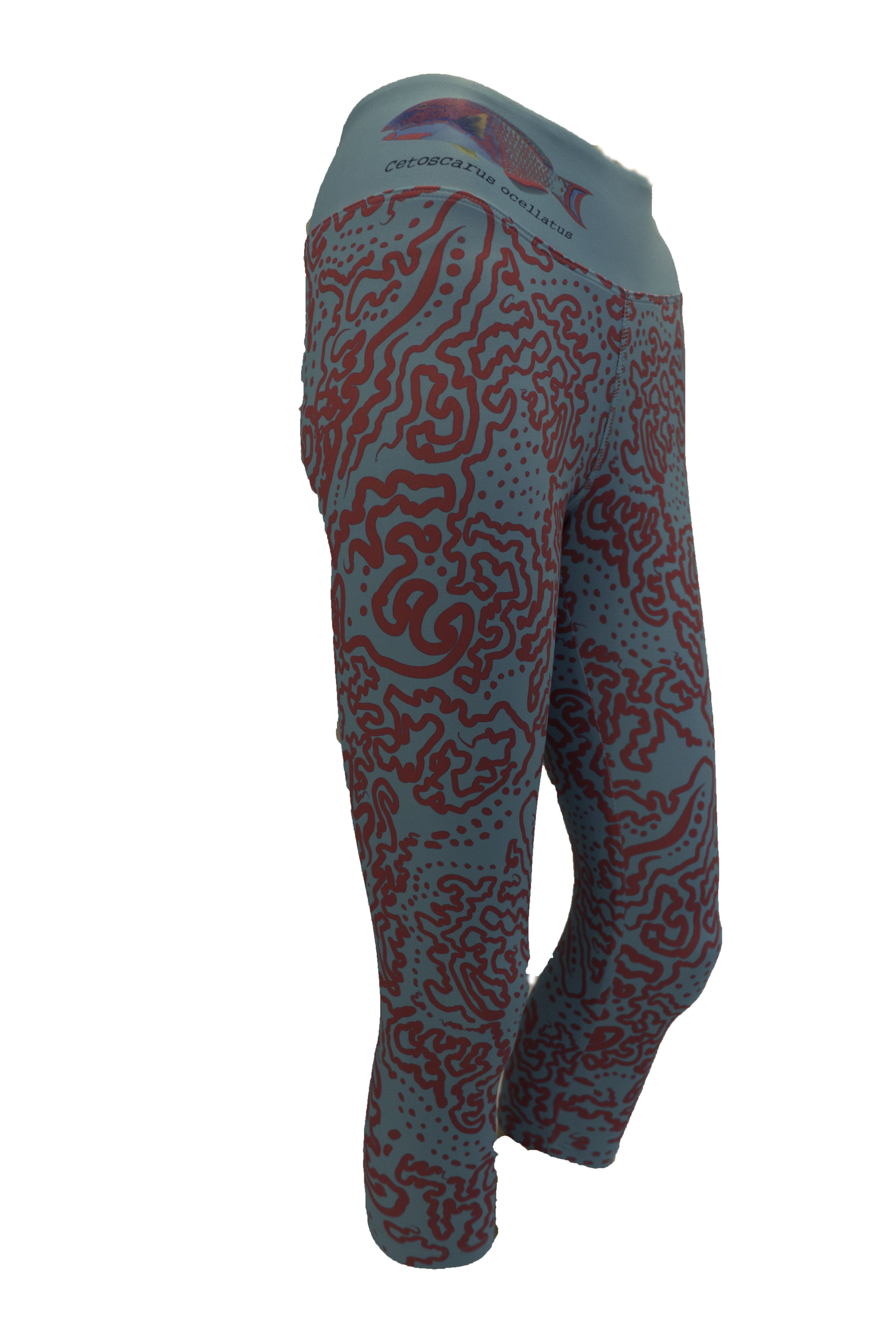 Reef SocietyBicolour Parrotfish160928Bicolour ParrotfishClothingBicolour Parrotfishuntitled shootBicolour Parrotfish9.jpg