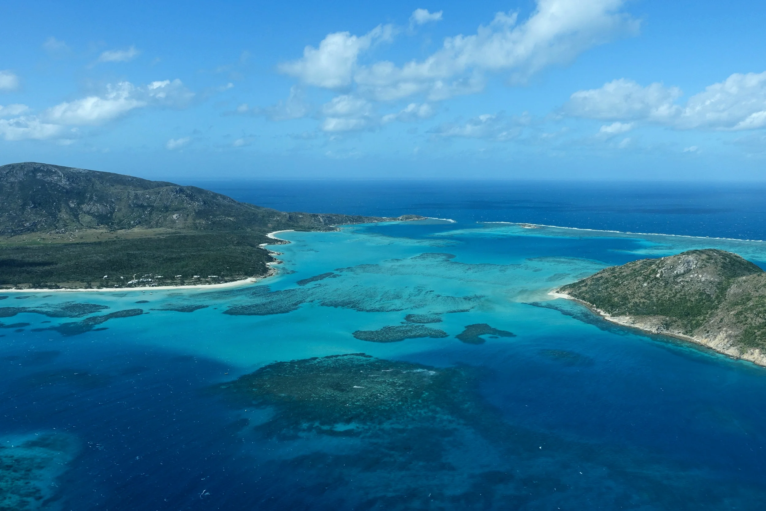 20150627LizardBahama August1.jpg