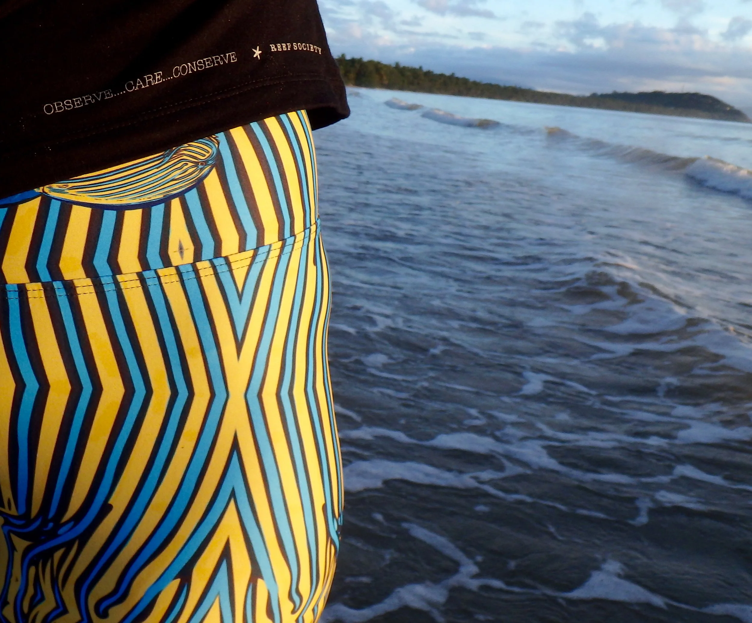 Reef Society Surgeon Fish leggings 2.jpg