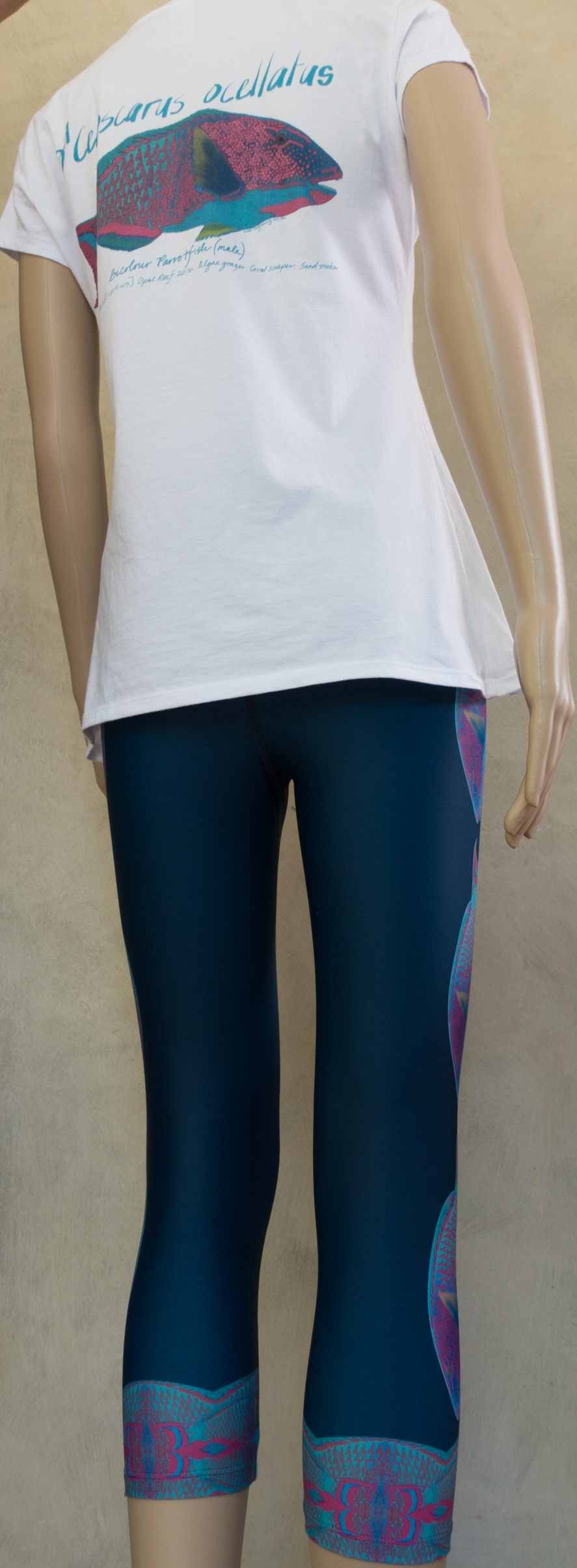 Parrotfish Organic Cotton T