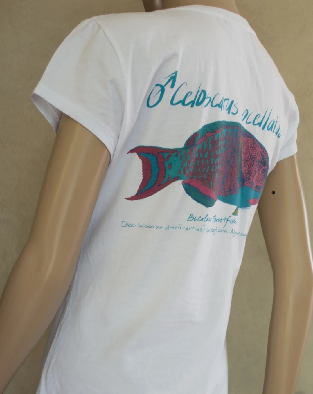 Parrotfish Organic Cotton T