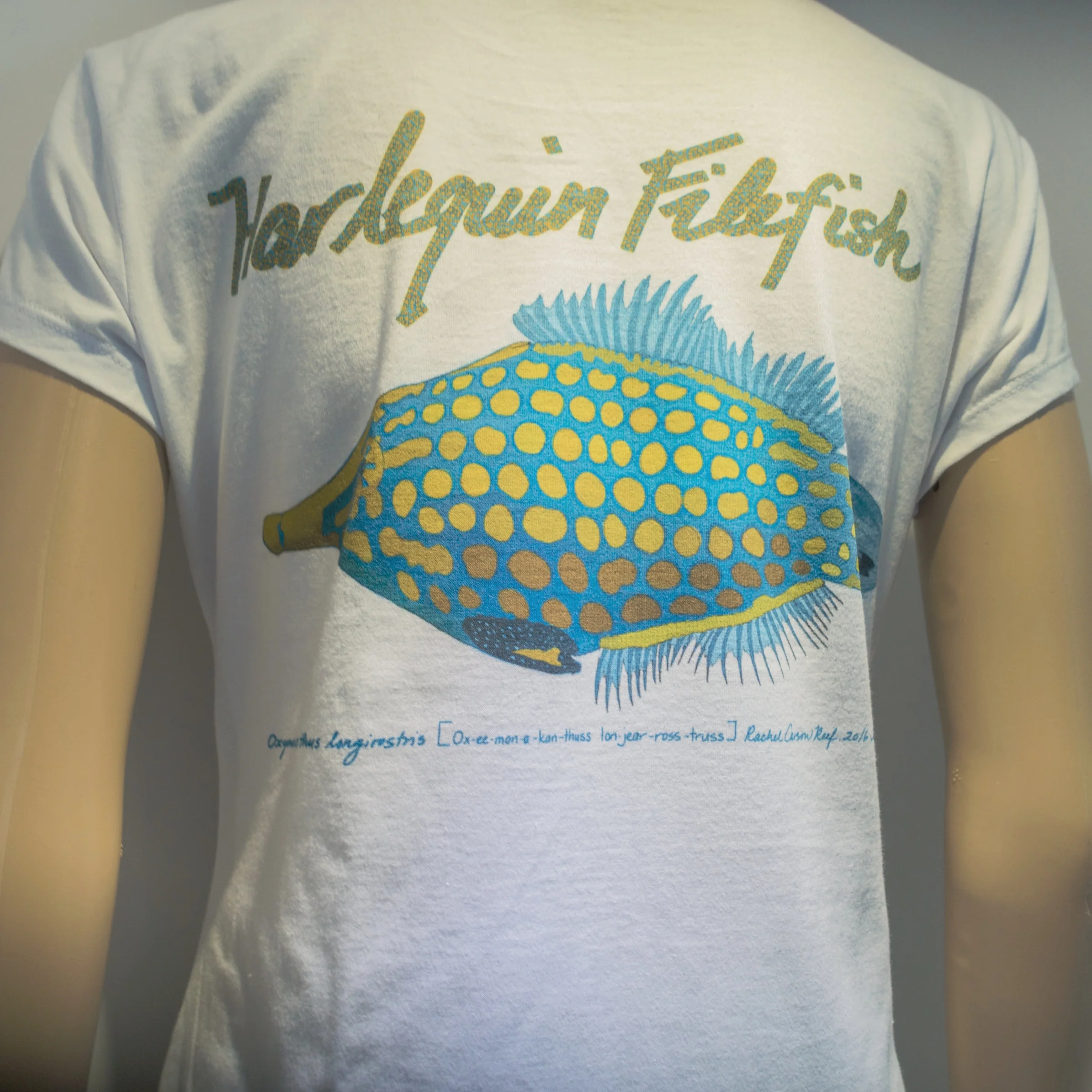Harlequin Filefish