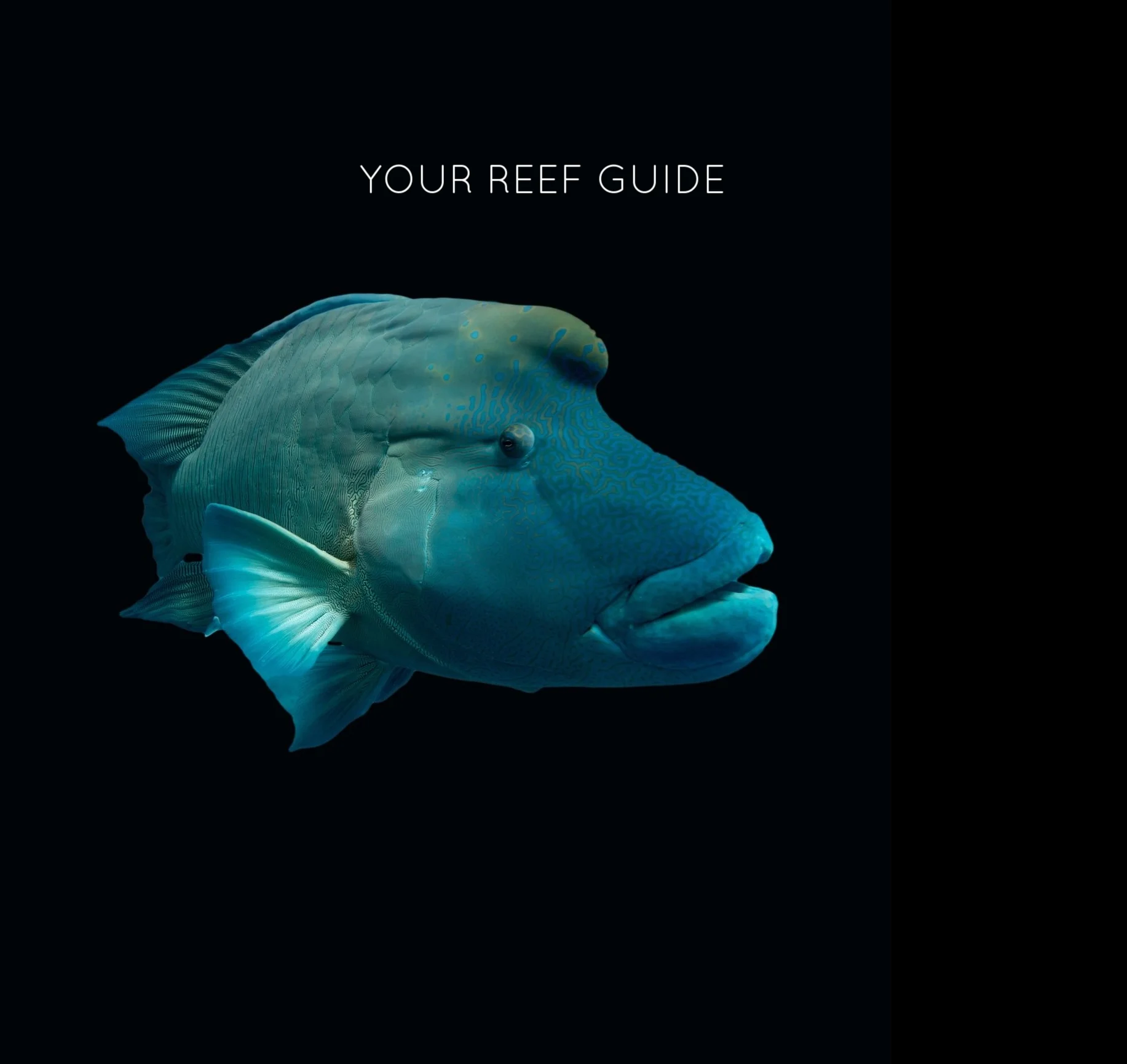 Untitled_Artwork 3.jpg