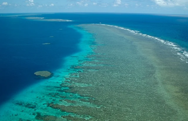 One of the northern Ribbon Reefs....