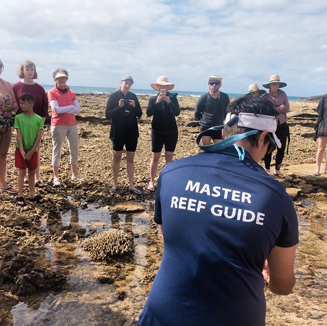 Allesandra knows this reef the way you know your kitchen. She&rsquo;s watched remarkable recovery from cyclones and coral bleaching and helps monitor reef health. One of the 26 Master Reef Guides in our GBR. 👏👏👏Whales, turtles, giant clams, Nemo a