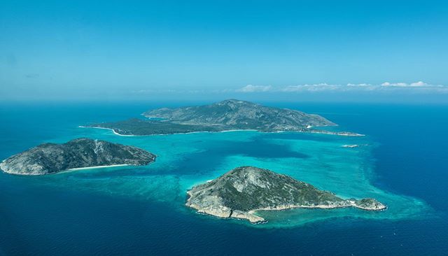 Beautiful Lizard Island. Hoping for coral spawning tonight when the corals release eggs and sperm in a giant soup of reproductive joy! 🦀🐠🐟🧜🏾&zwj;♀️