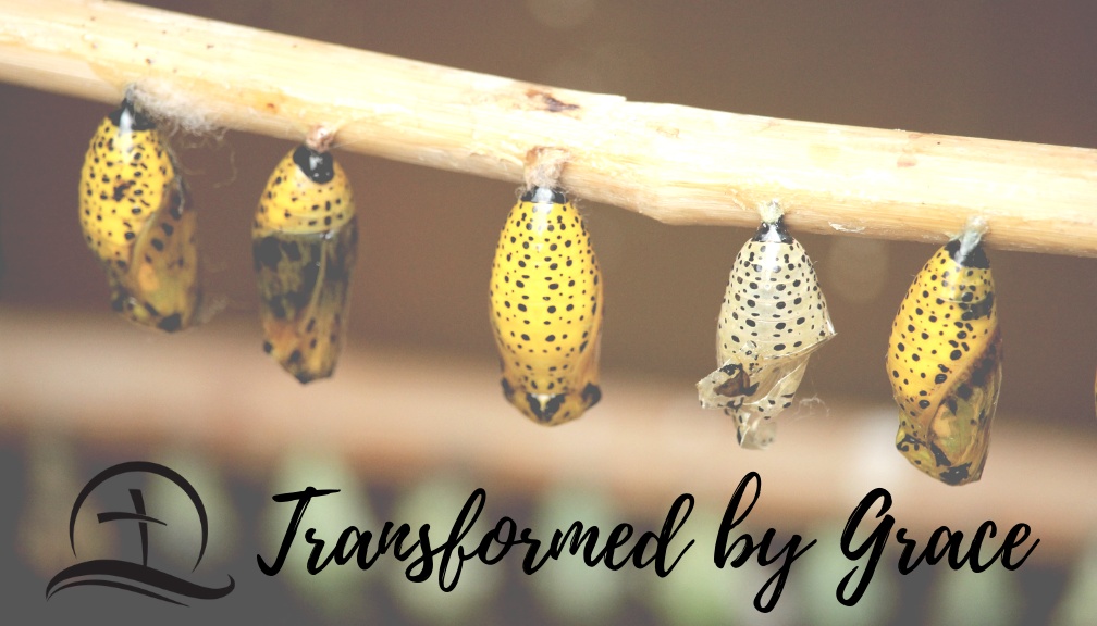 Transformed by grace bc.png