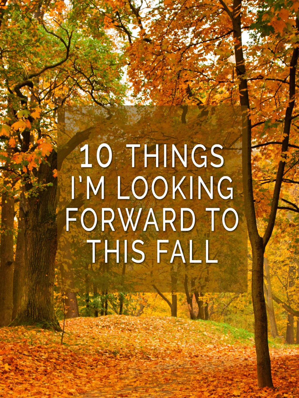 10 Things I'm Looking Forward to This Fall