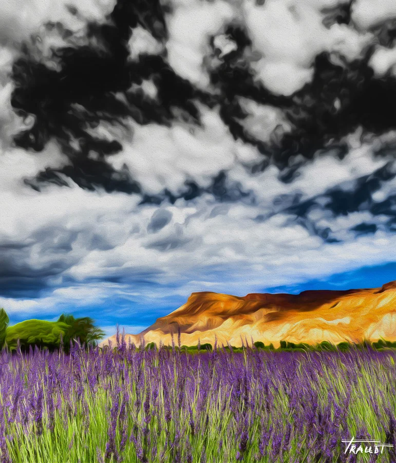 Lavender-8.jpg