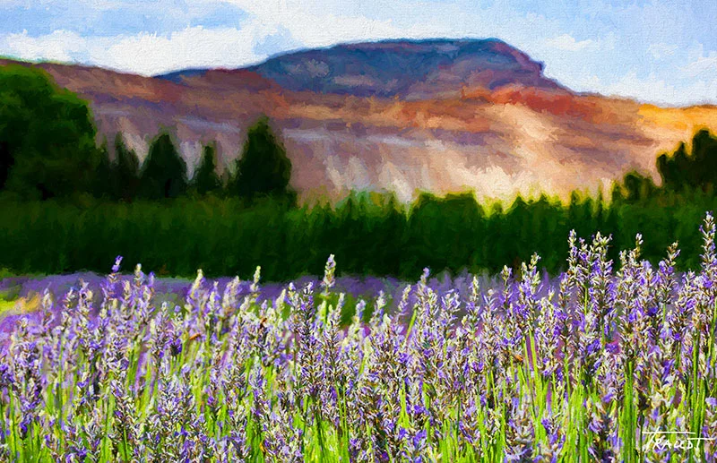 Lavender-and-Book-Cliffs.jpg