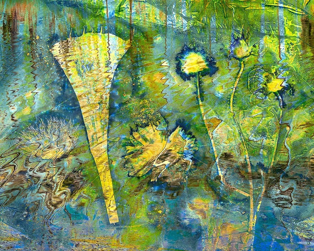 Monet Cyano.jpg