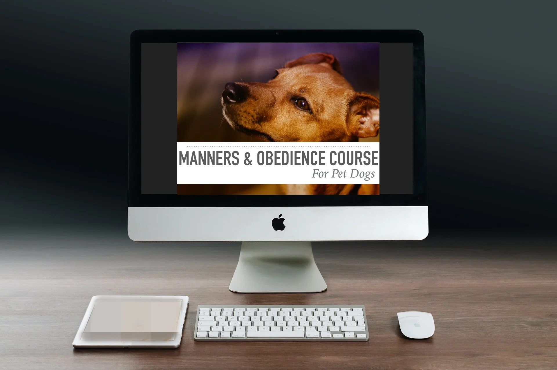 Manners & Obedience Online Picture.jpg