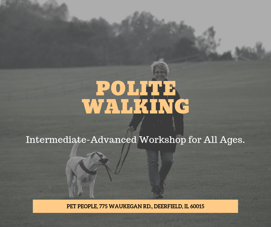 Copy of Loose leash walking class-21.png