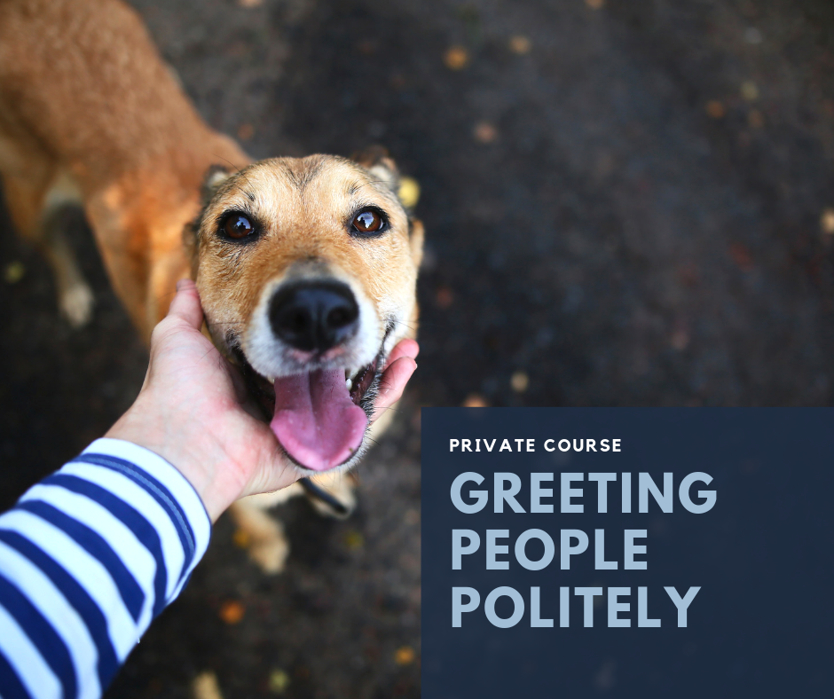 Copy of Loose leash walking class-12.png