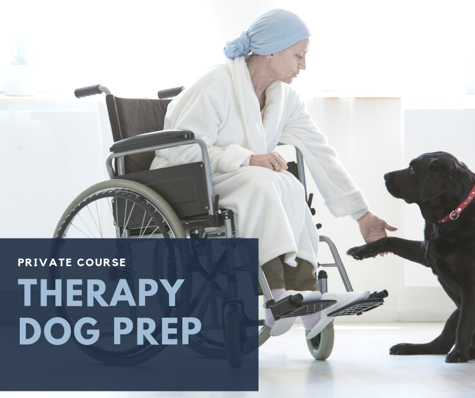 Copy of Loose leash walking class-5.png