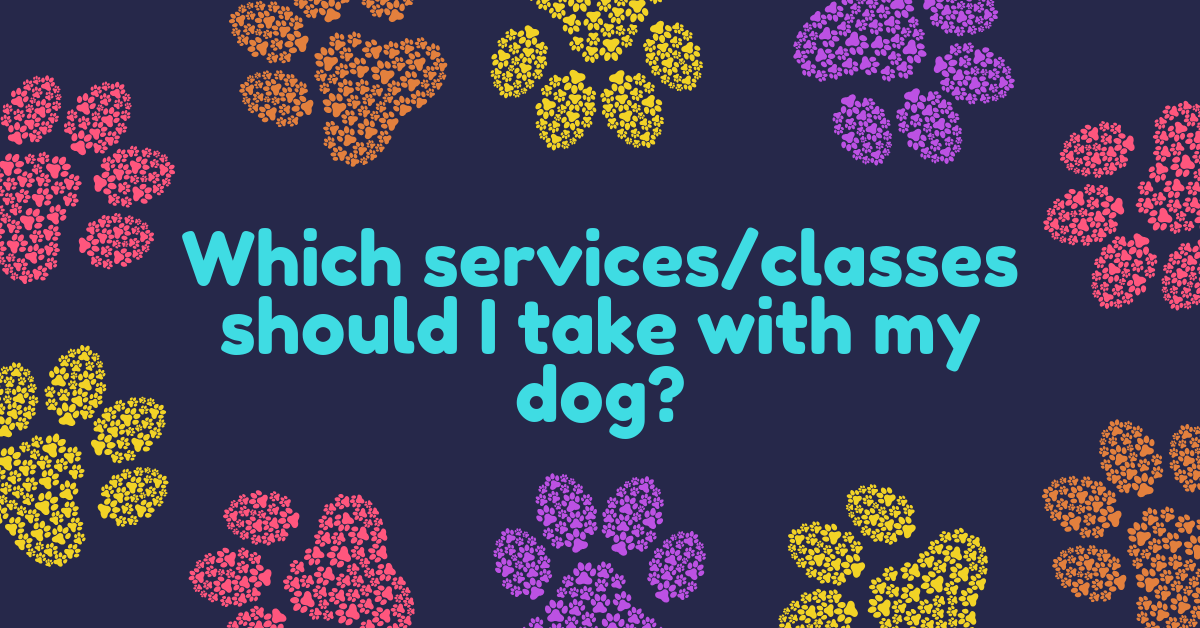 How much do your services cost?-9.png