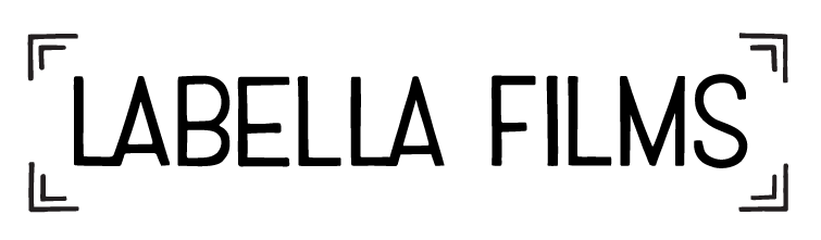 Primary Logo (primarycolor:web:transparent).png