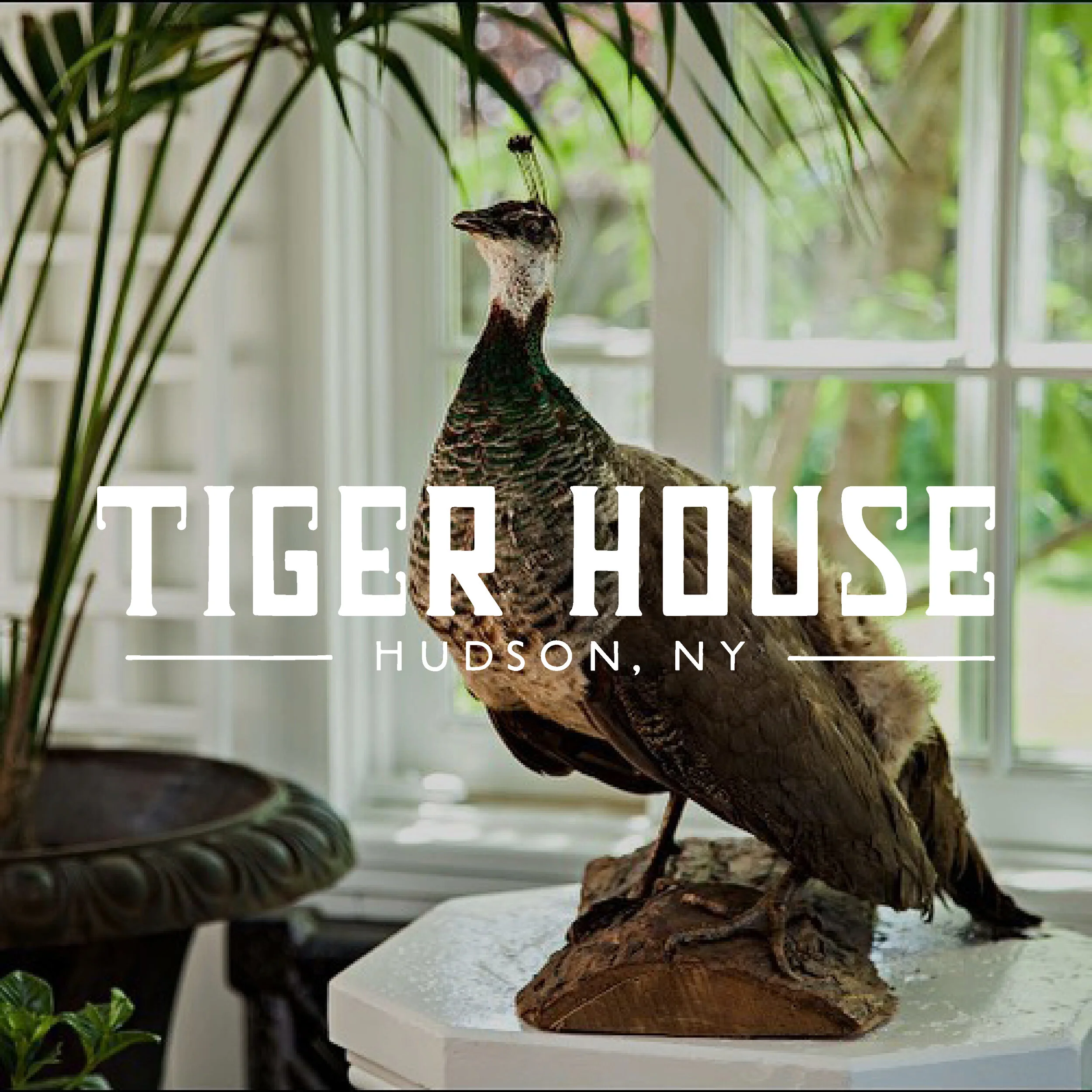 square graphics - 2019 Tiger house4.jpg
