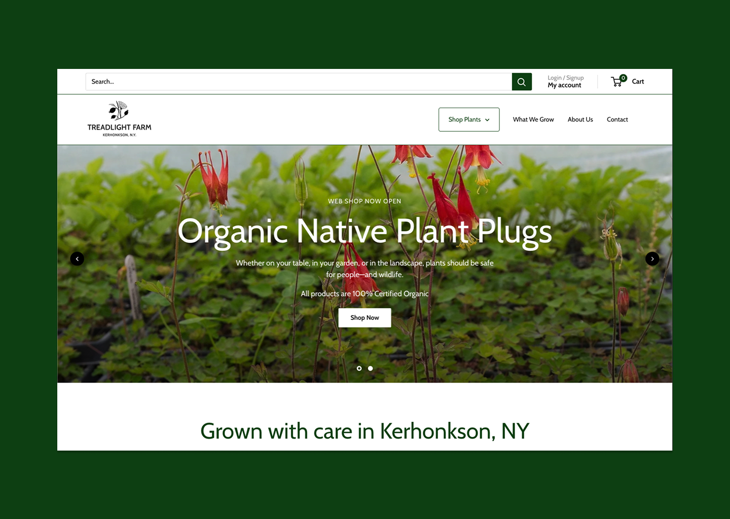 Treadlight_Desktop - 2.png