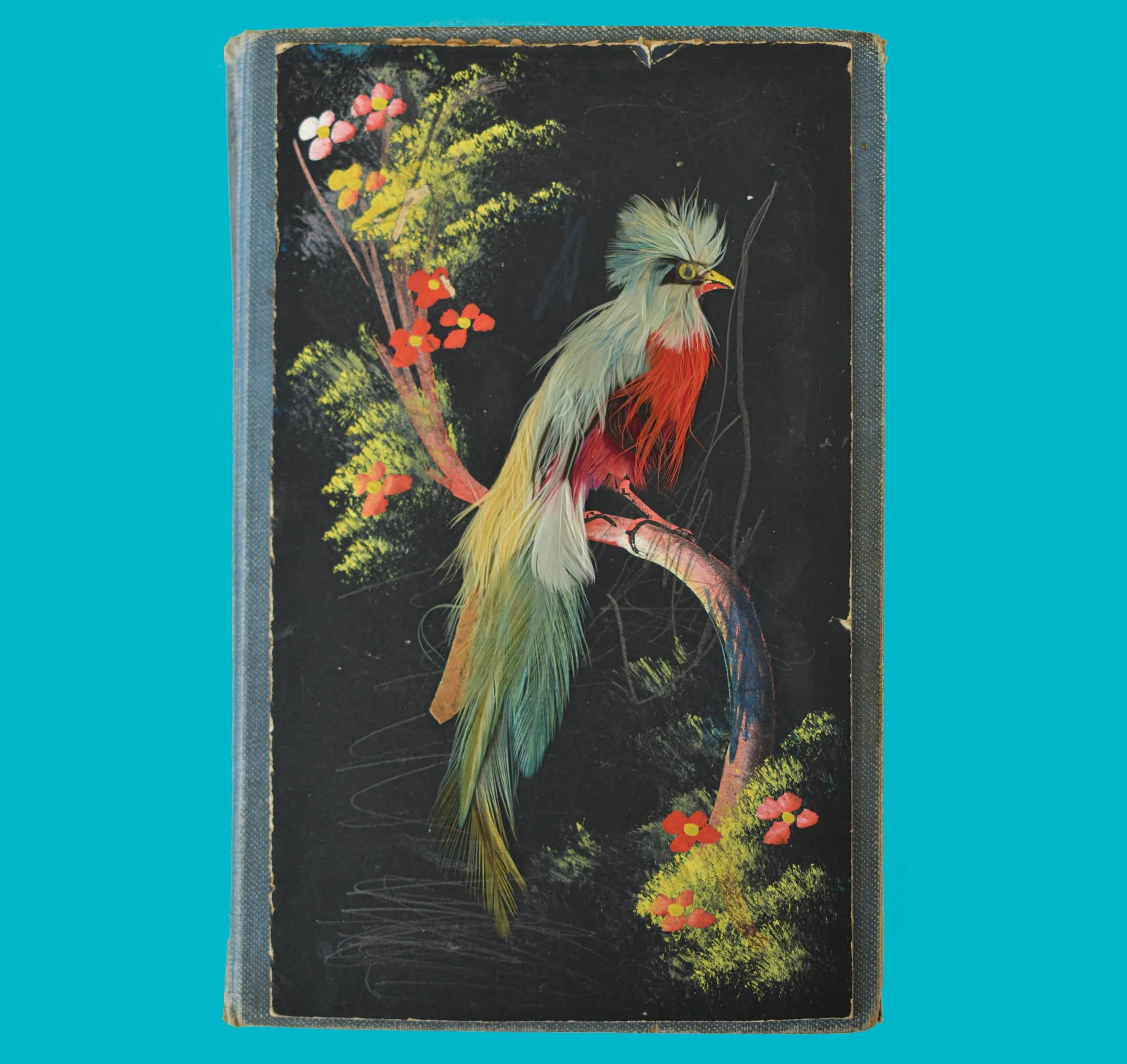 BR10 front cover - for web 2.jpg