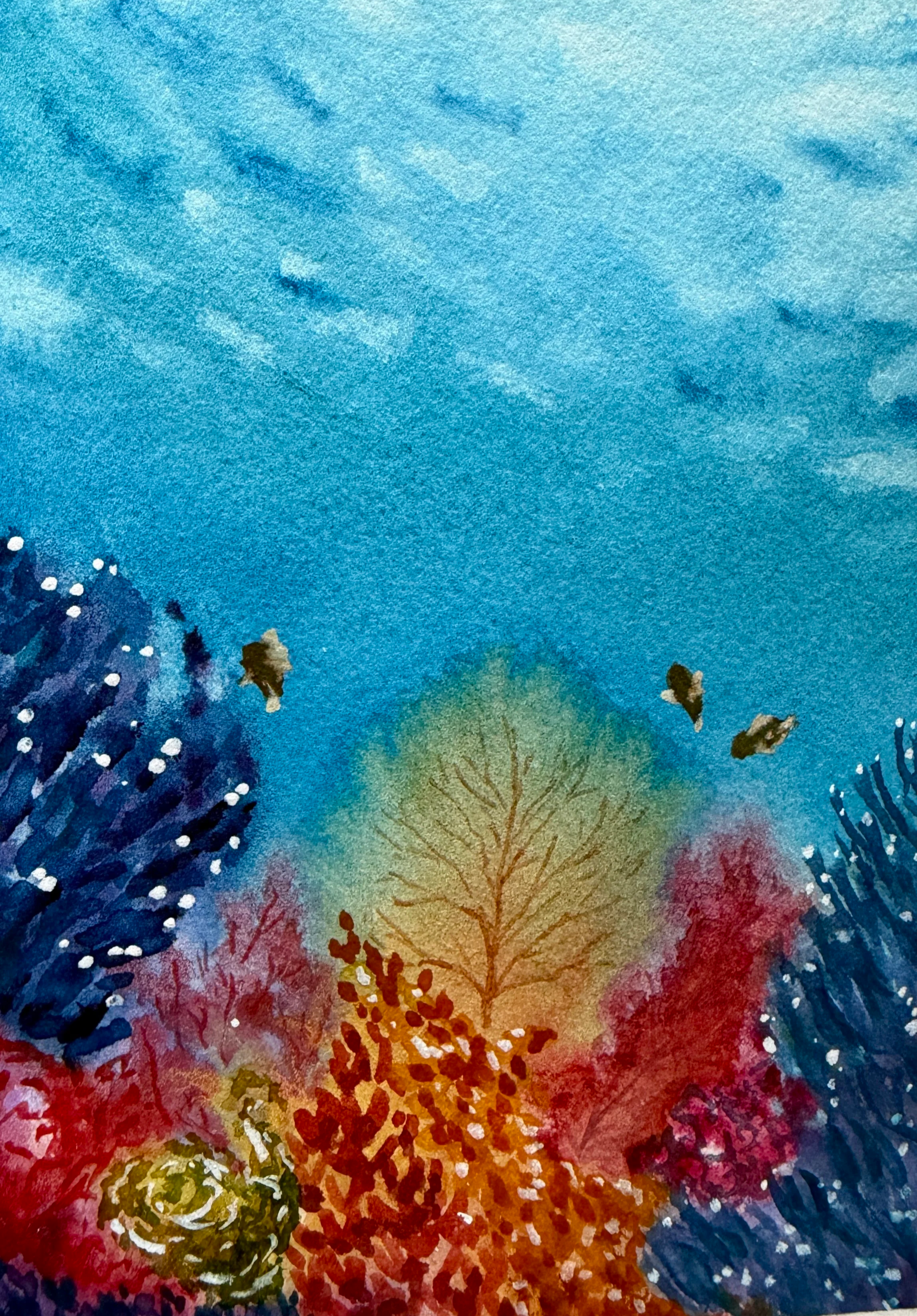 Coral+Reverie.png
