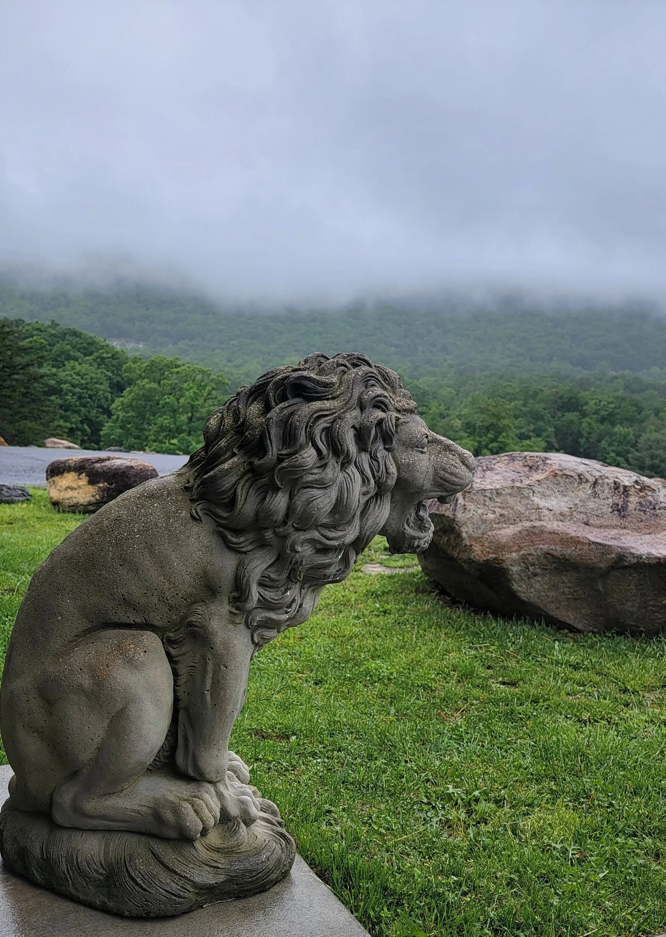 Lion+with+a+View.jpg