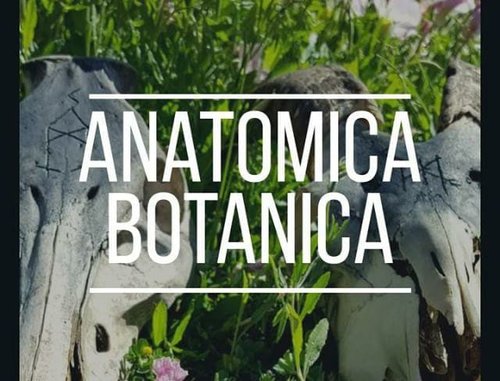 anatomicabotanica