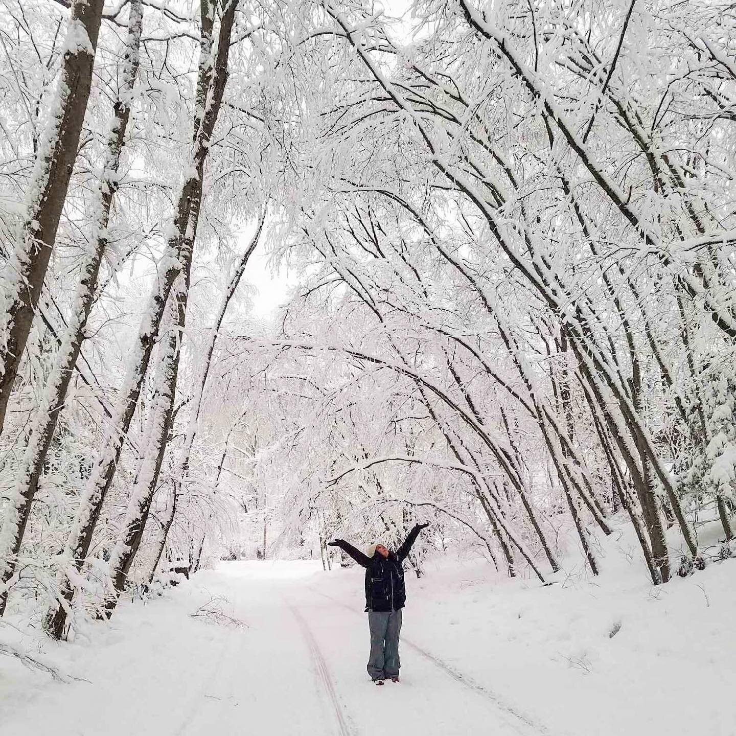 Today we went to Narnia, and although we did not meet Mr. Tumnus, we made it home safely.