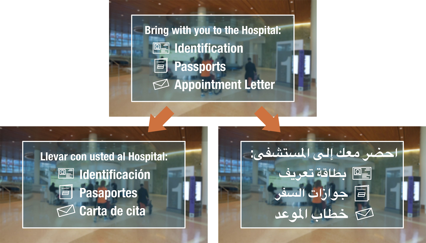 A side-by-side glimpse at just one of the many graphic elements we had translated into three languages.