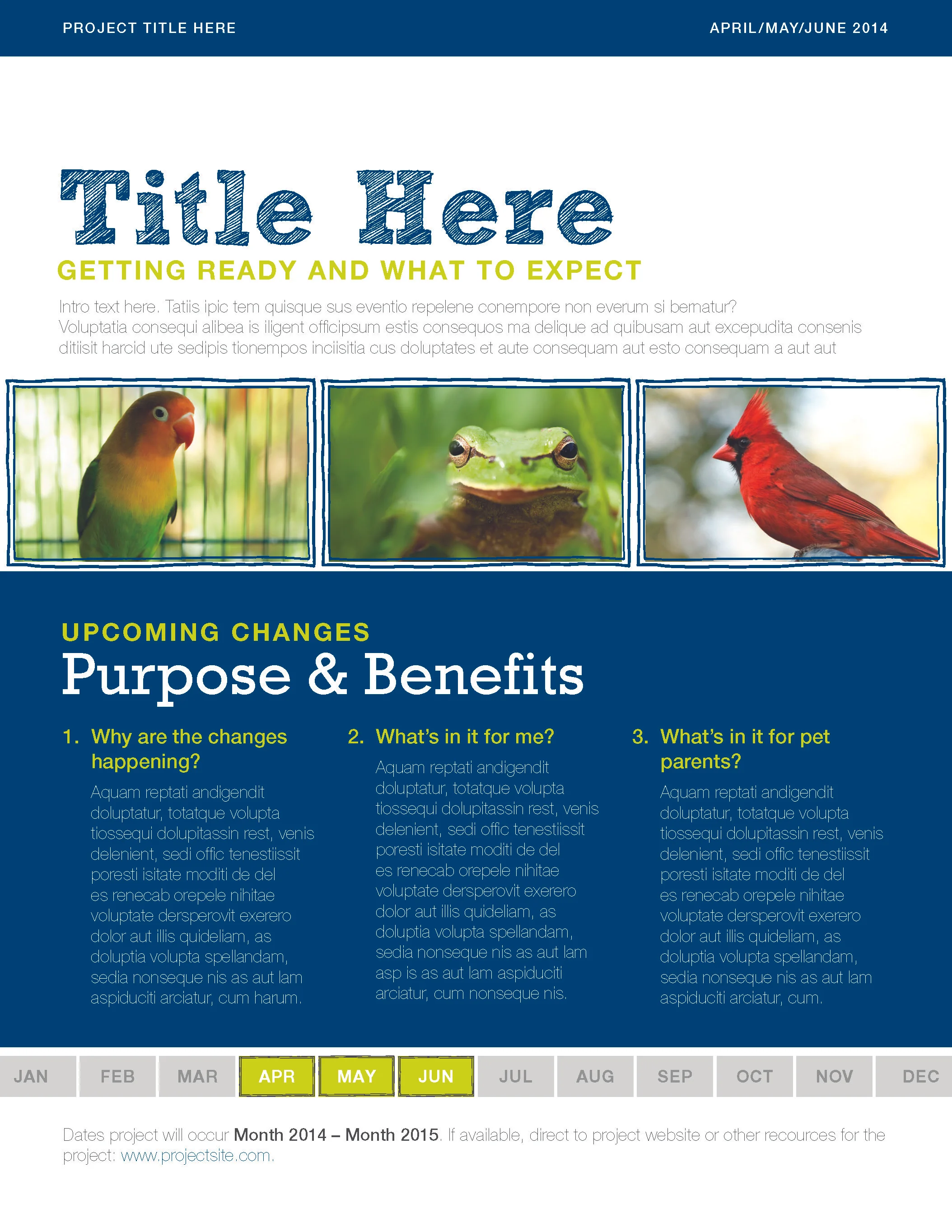 Project Rollout Newsletter Example_Page_1.jpg