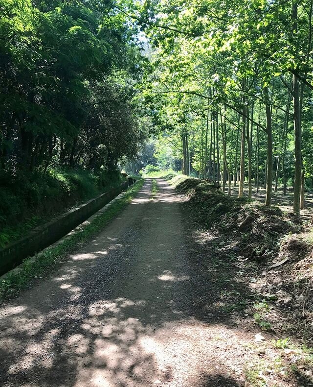 We spend a lot of time talking about road racing, but working with athletes preparing for big off-road events like Dirty Kanza is something we've always enjoyed! Maybe it's because it gives us an excuse to do &quot;field research&quot; rides like thi