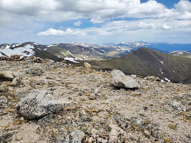 Some mountains to start your week with!