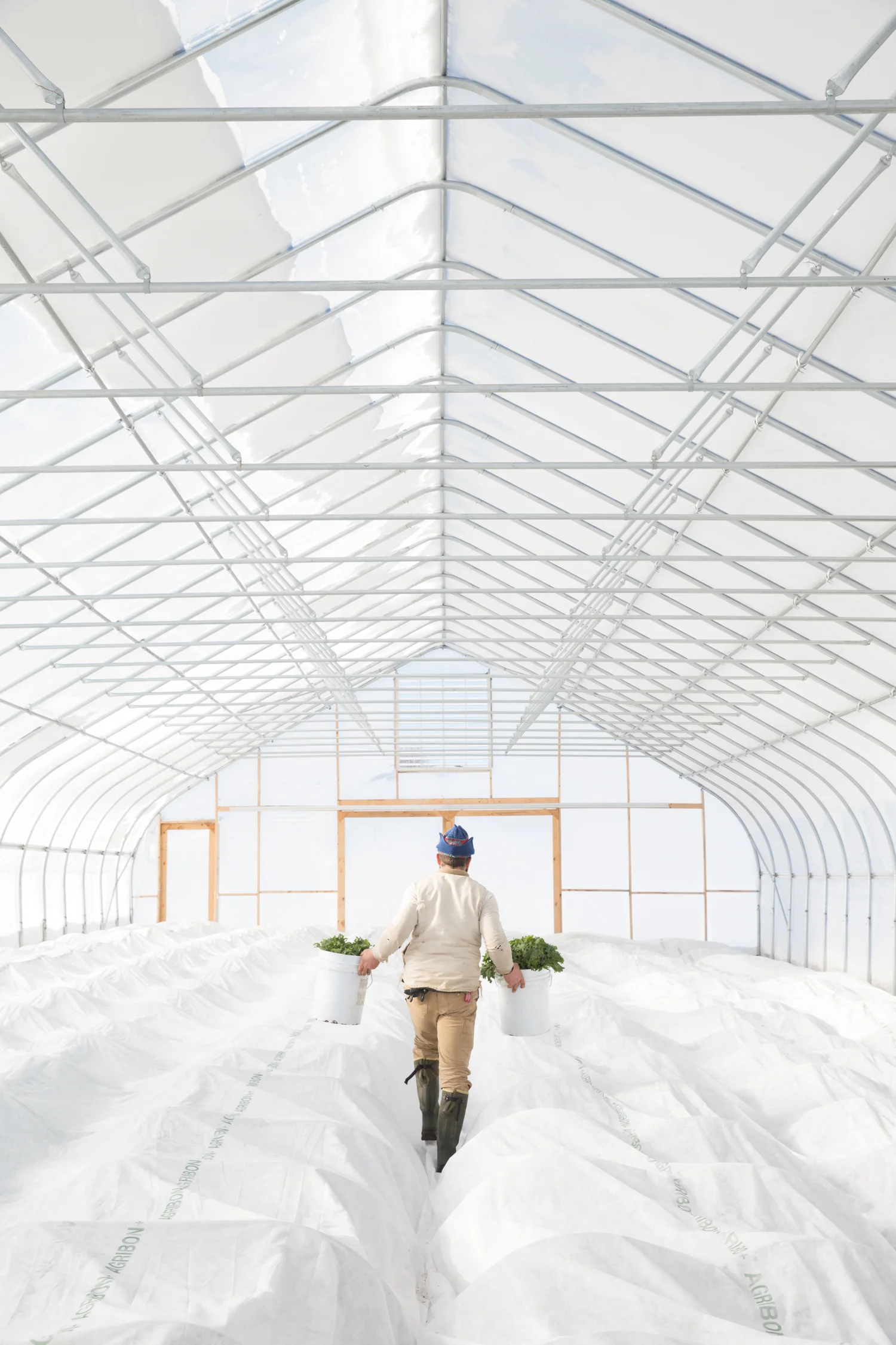 Two Farmers Farm- Scarborough, Maine