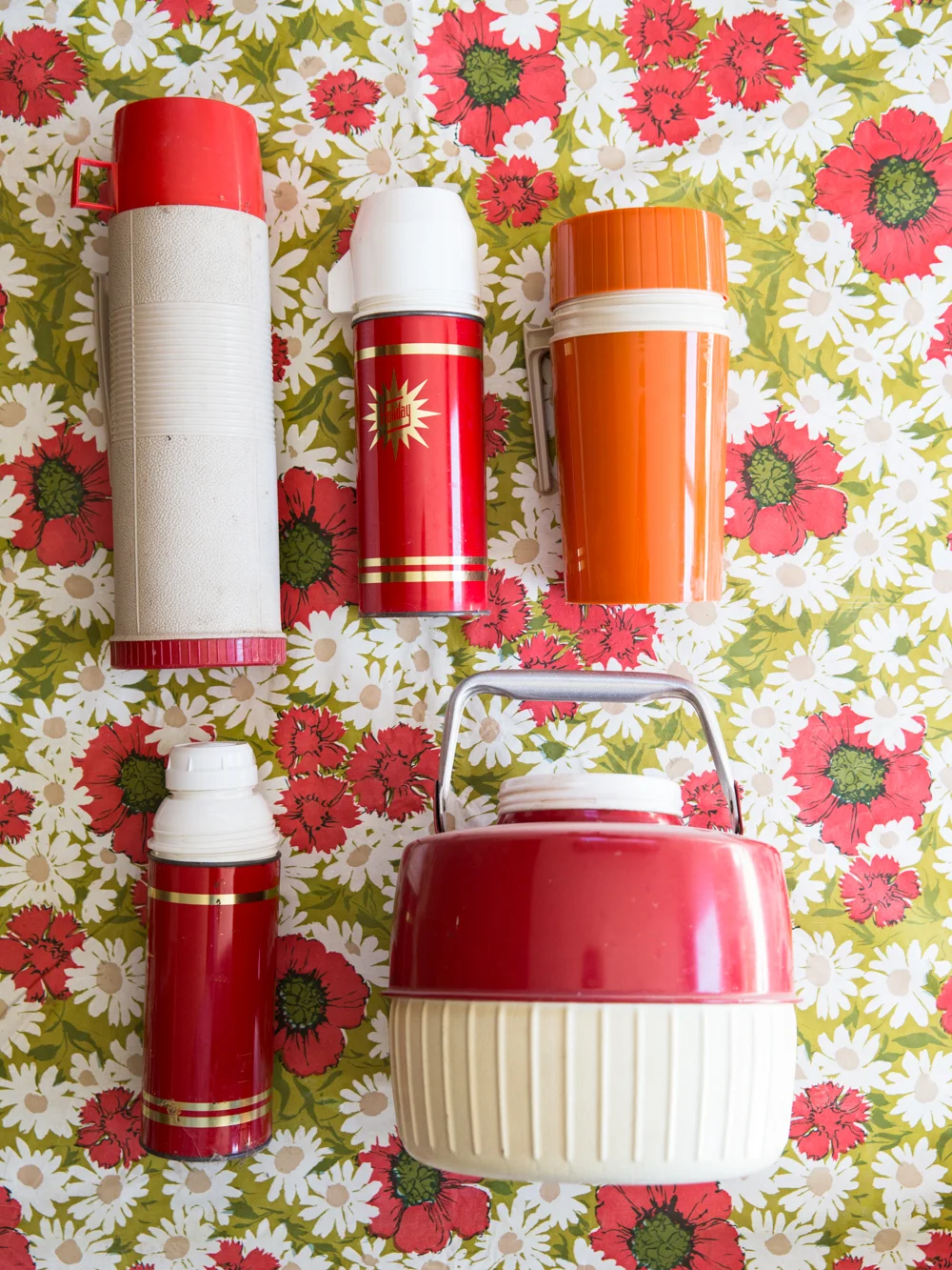 "My family loved to picnic. My mother could pack a picnic in a half hour!" -Jane Rybus