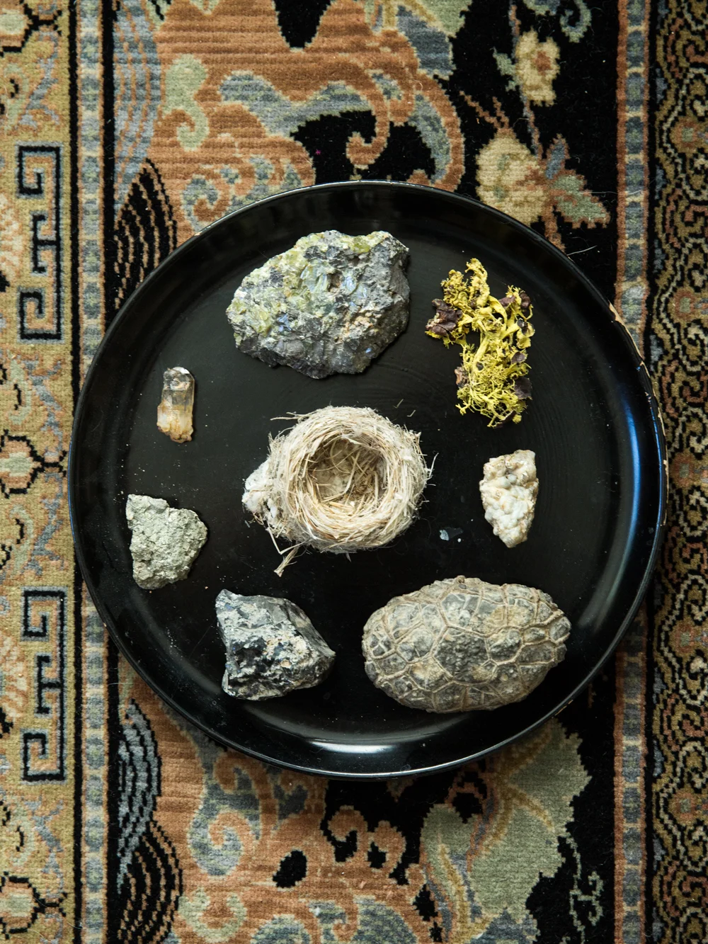 "I've always been interested in rocks. I like speculating about how they got to be how they are." -Jane Rybus