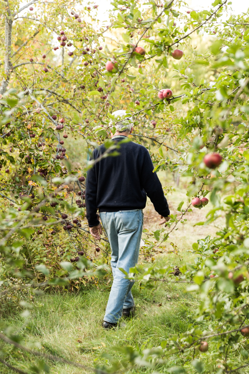 GRybus-Blog-MFT-Apples-2676.jpg