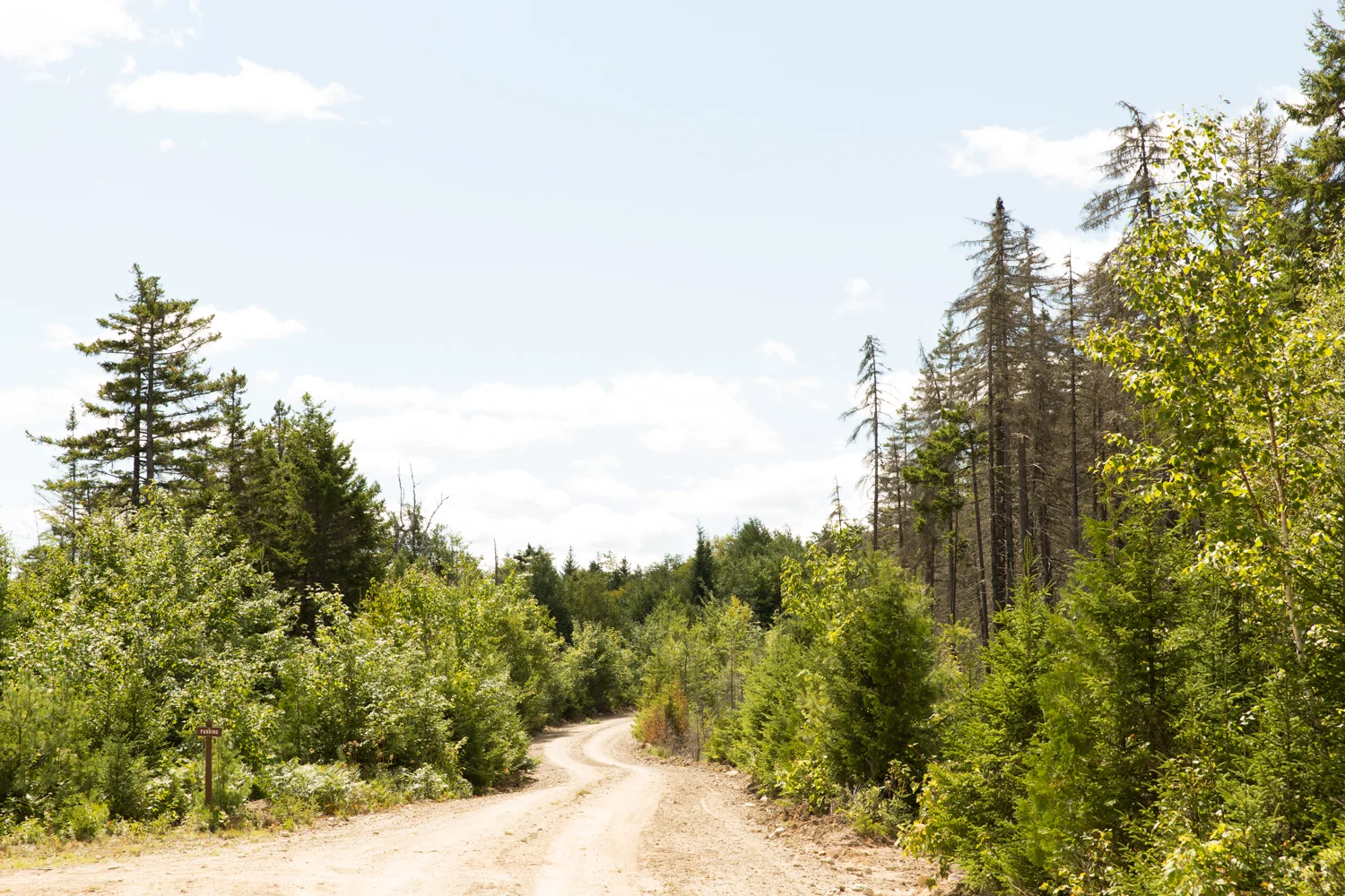 GRybus-Blog-BG-Katahdin-0489.jpg