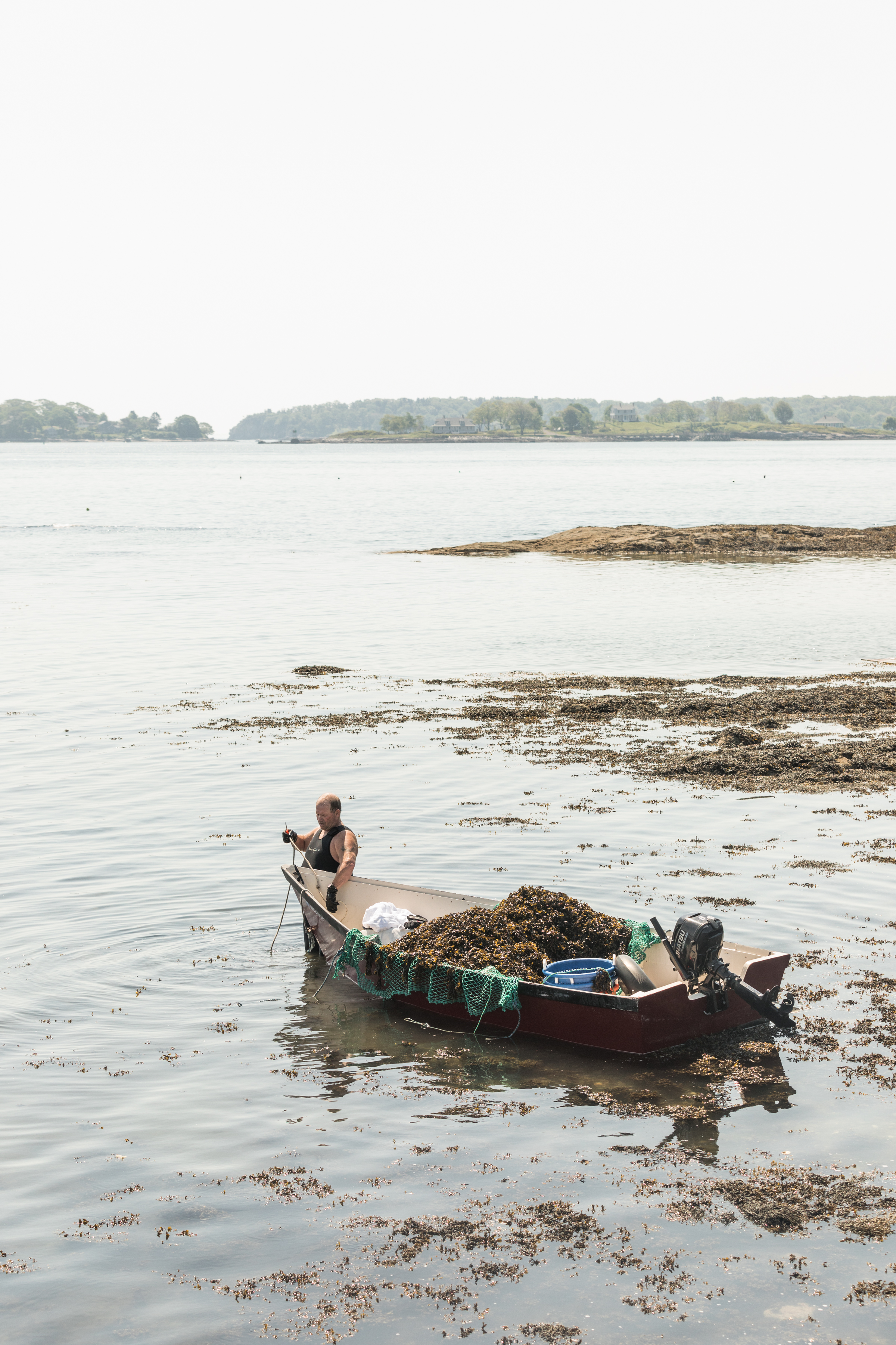 GRybus-Blog-Seaweed-9676.jpg
