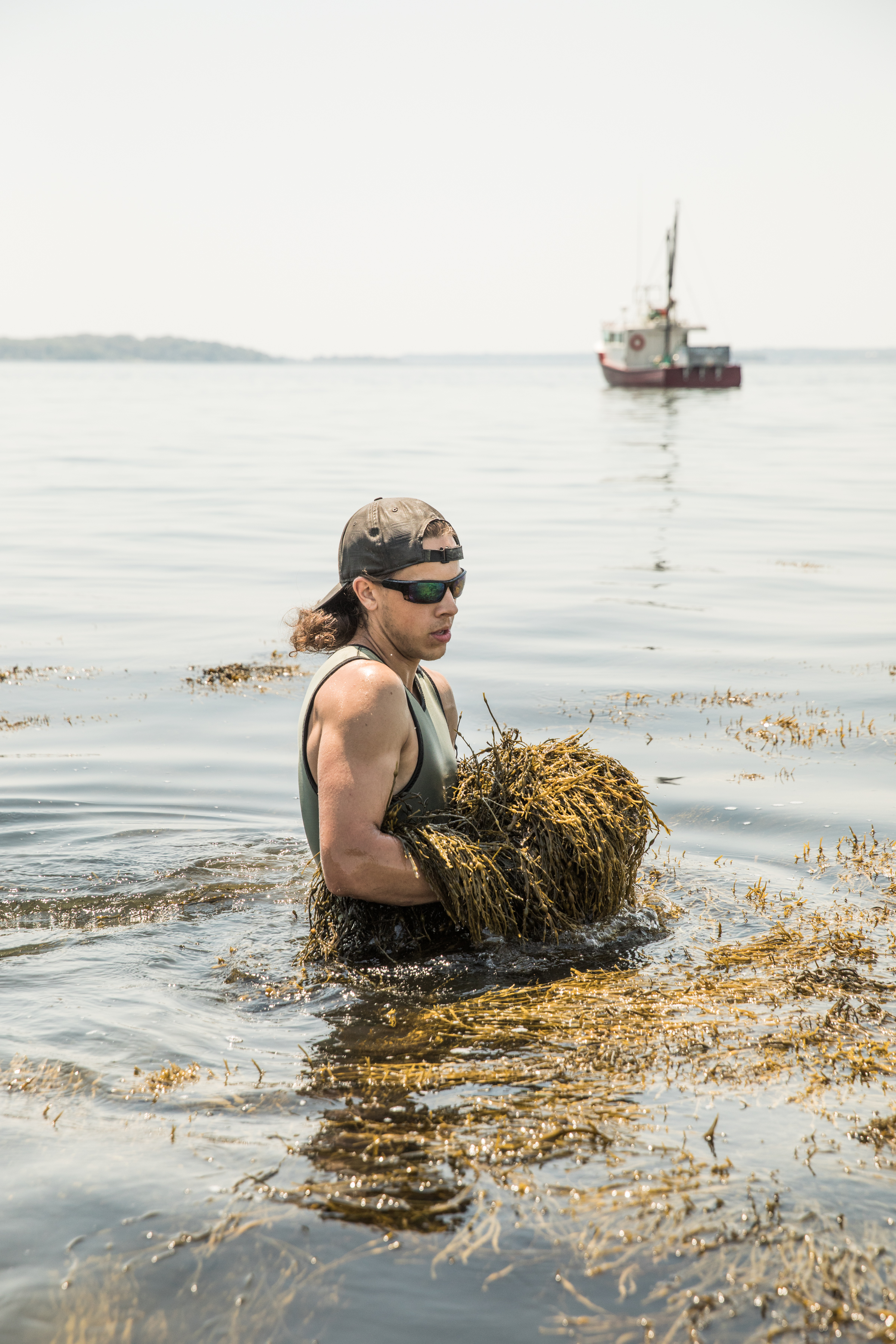 GRybus-Blog-Seaweed-0585.jpg