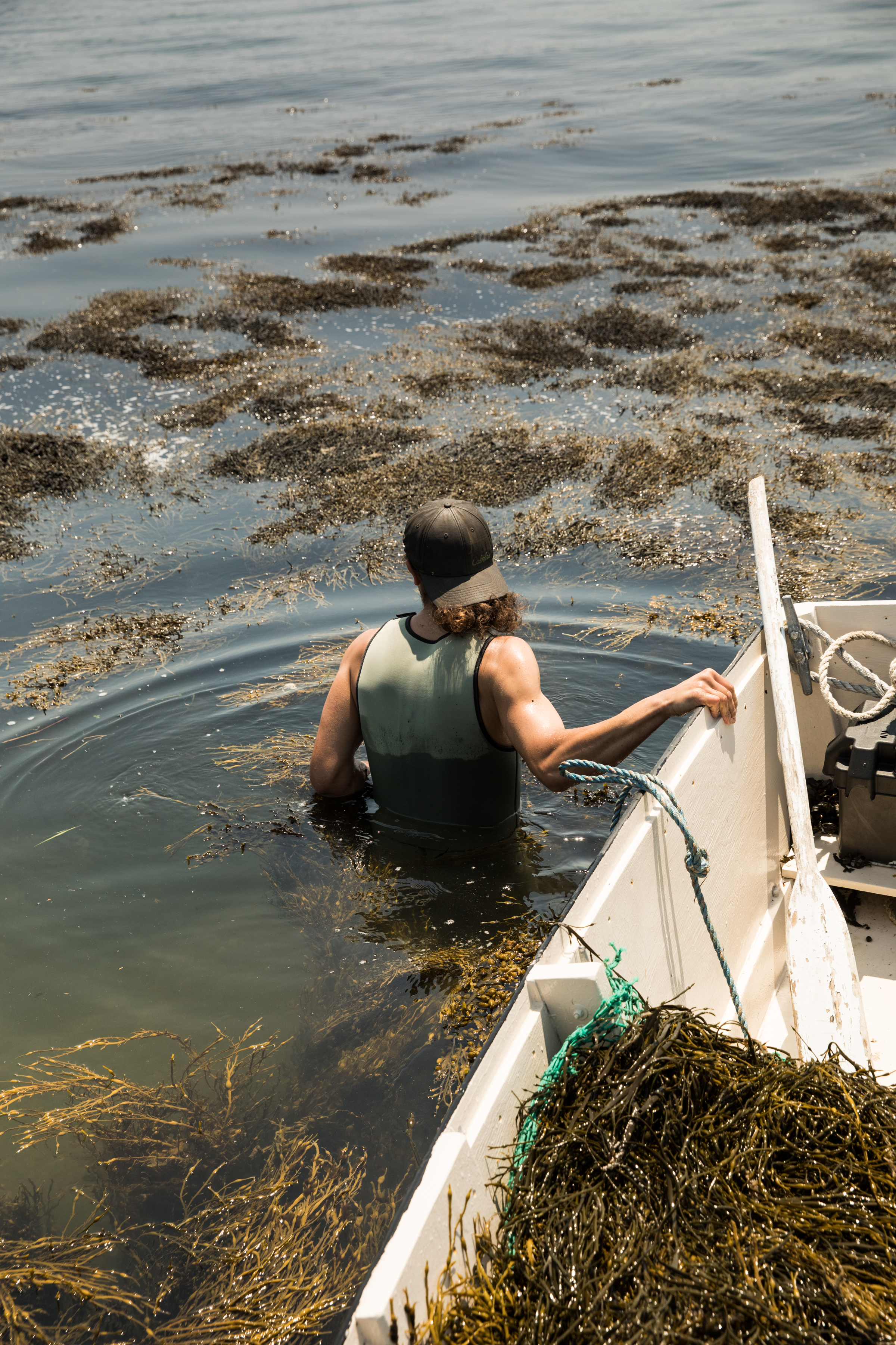 GRybus-Blog-Seaweed-0494.jpg