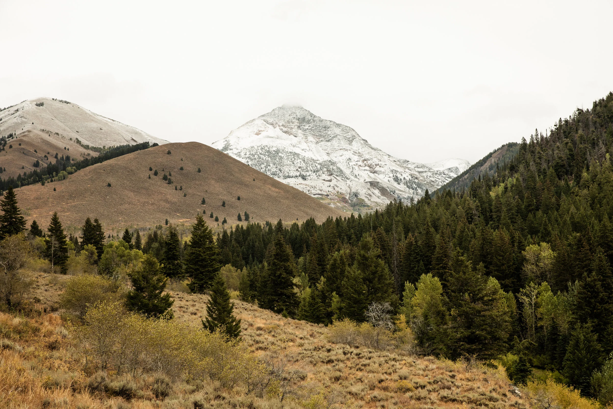 GretaRybus-Idaho-Climate-v2-01-5598.jpg