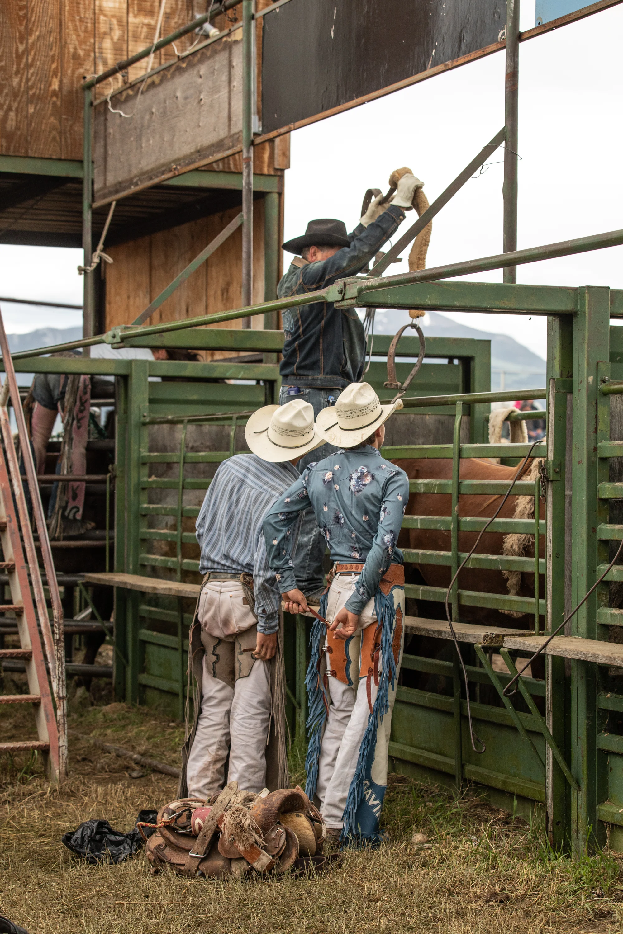 Ennis, Montana