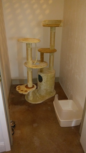 suite-1.jpg
