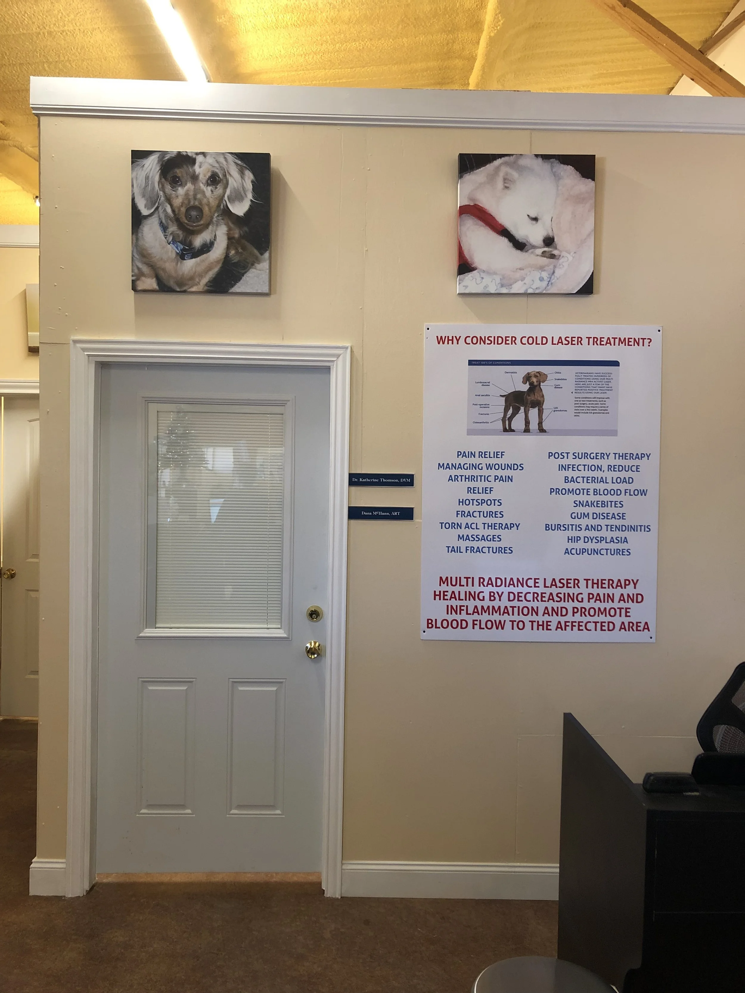 Vet Clinic — Suite Life Pet Resort & Spa
