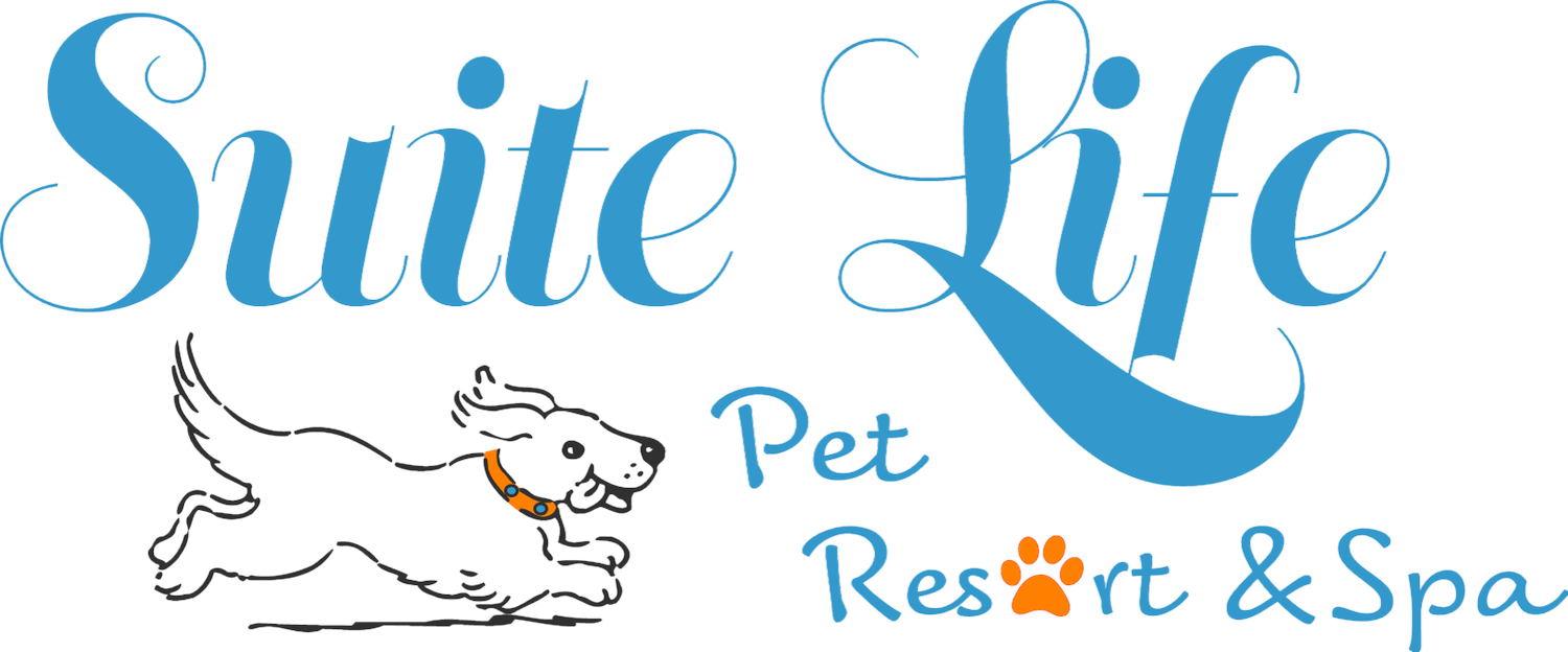 Suite Life Pet Resort & Spa