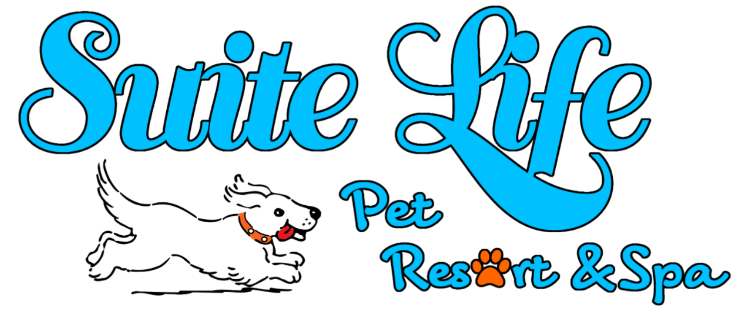 Suite Life Pet Resort & Spa