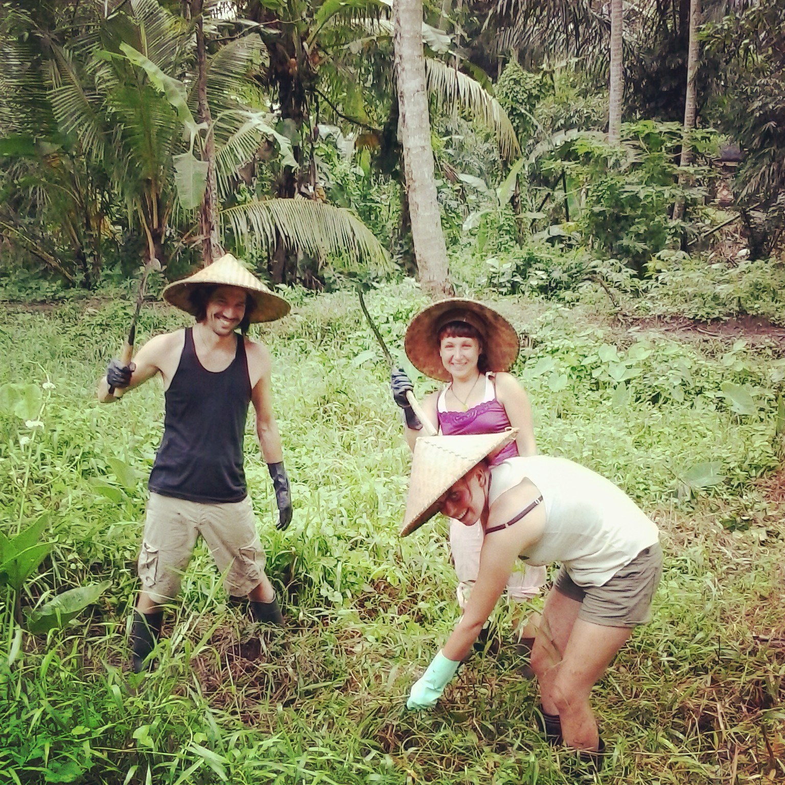 Chinampas project
