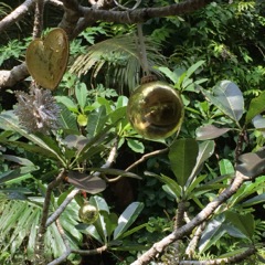 IMG_2341 (1)